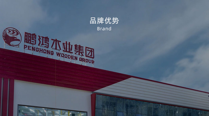 板材品牌、全屋定制品牌、生態(tài)板十大品牌