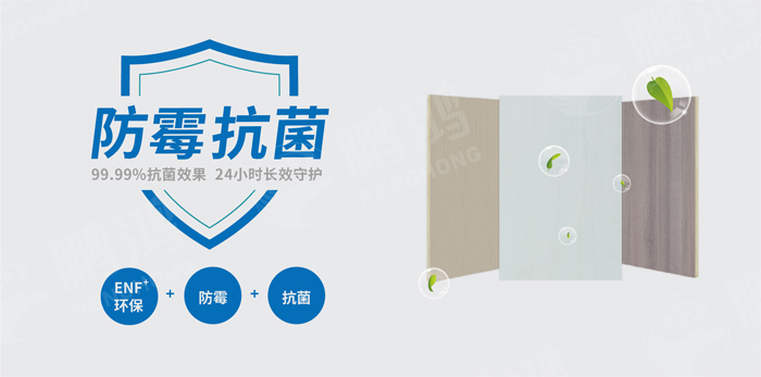 抗菌防霉木質裝飾板行業(yè)標準研討工作會圓滿召開